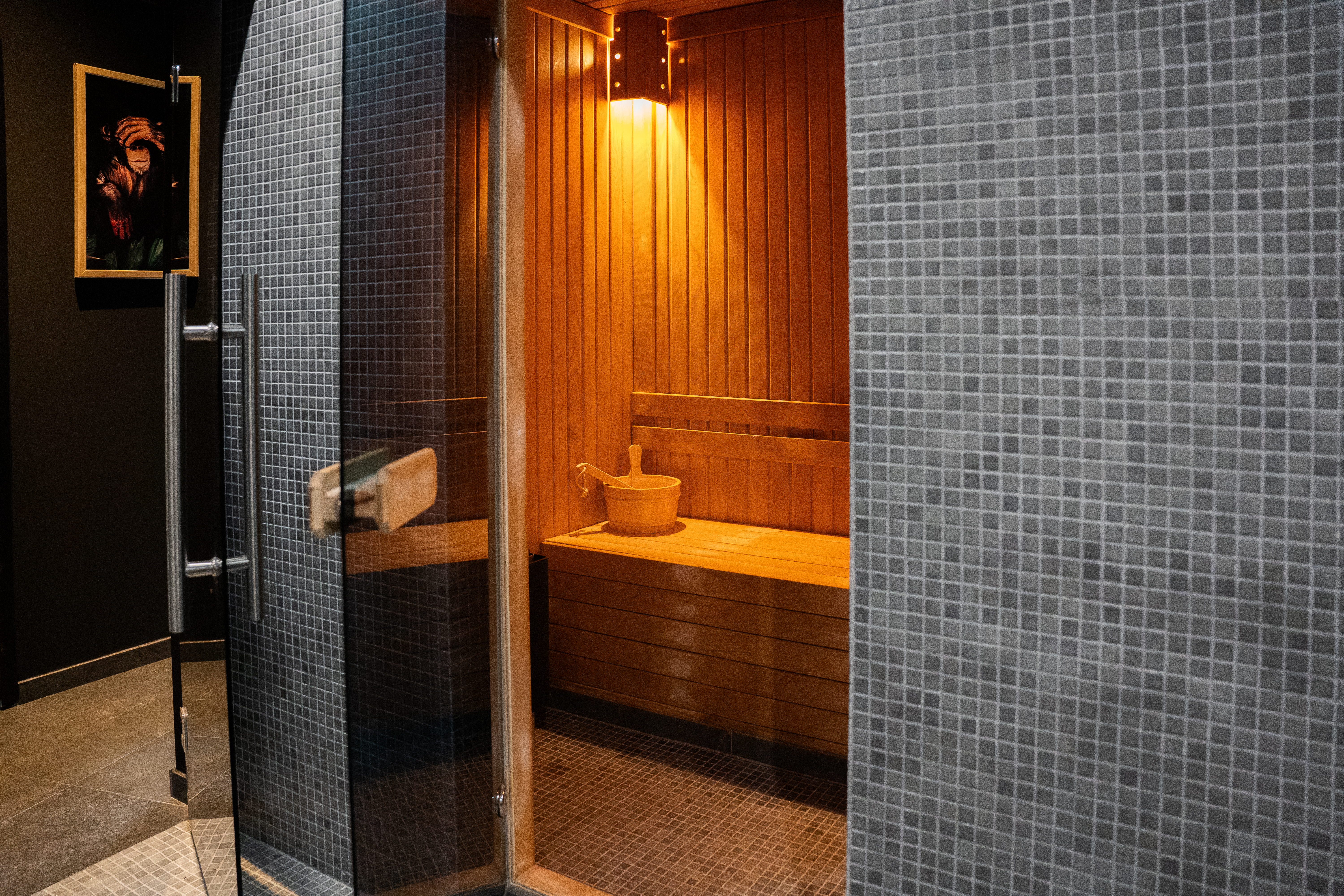 Sauna haut de gamme