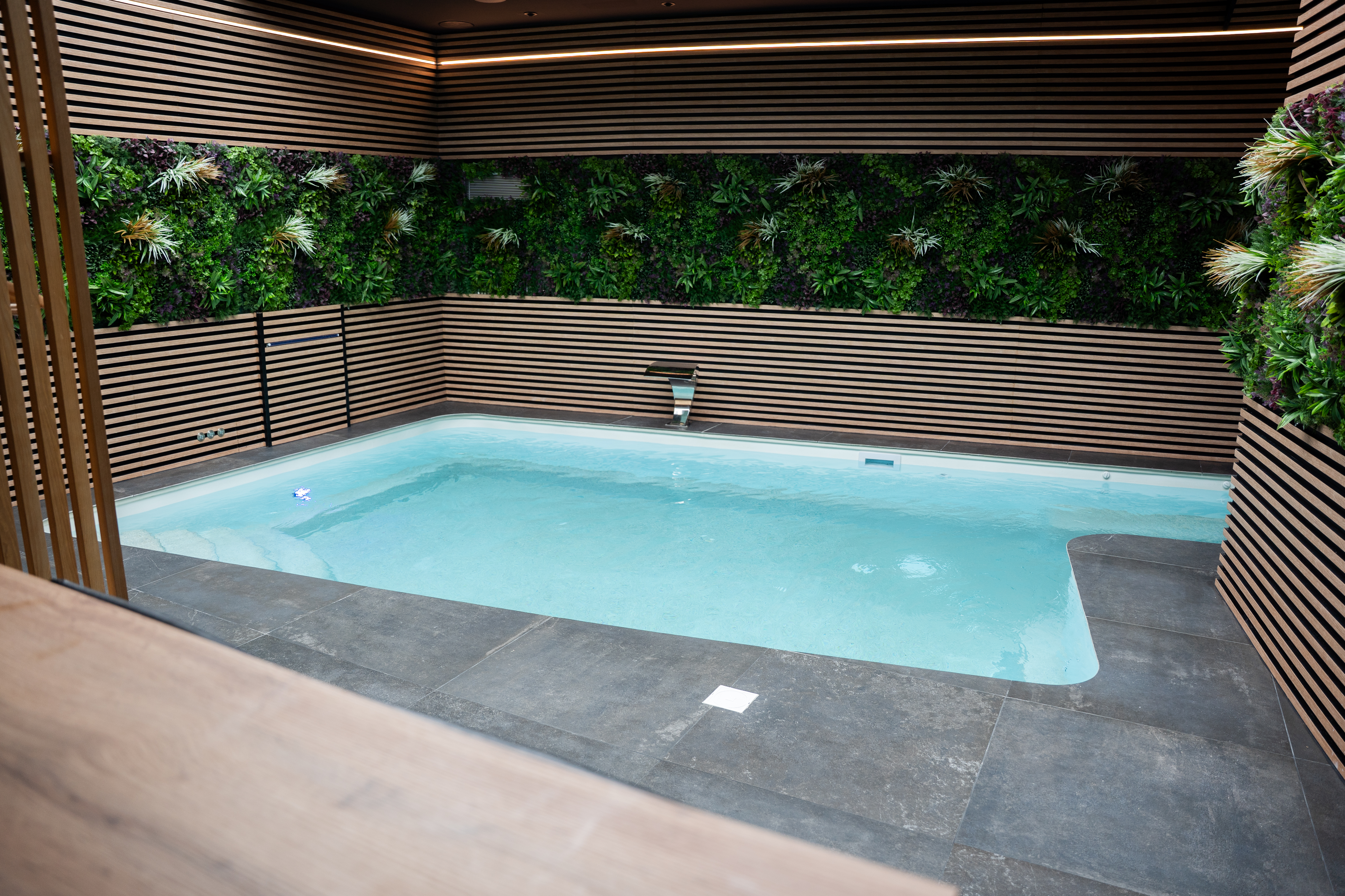 Piscine privative Élyséa